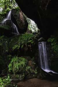 Waterfall in forest