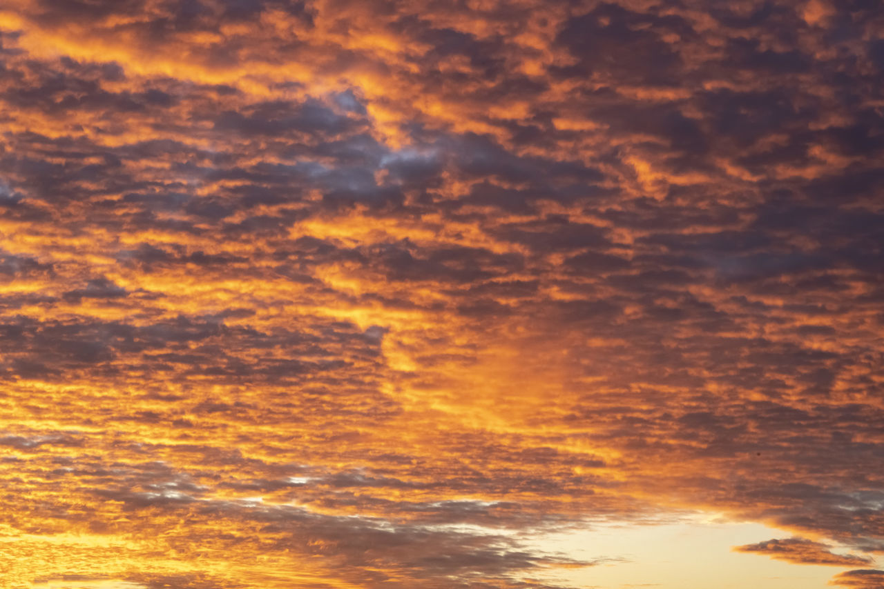 LOW ANGLE VIEW OF ORANGE DRAMATIC SKY