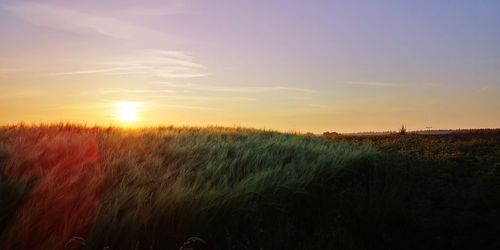 Scenic view of field against sky during sunset