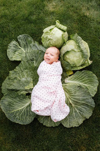 High angle view of smiling boy on leaf