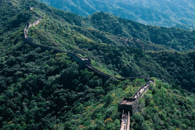 High angle view of lush foliage against mountains