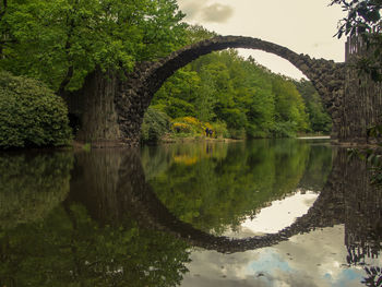 Reflection of trees in lake