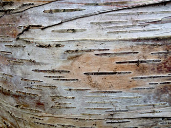 Full frame shot of wooden wall