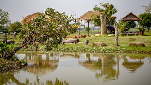 Scenic view of lake by building against sky