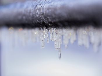 Close-up of frozen water