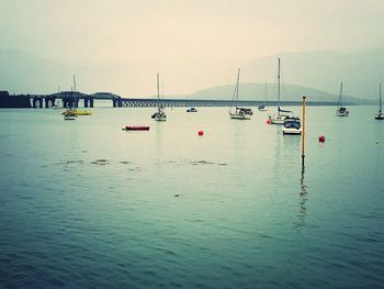 Sailboats moored on sea against sky