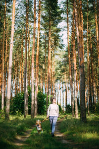 Rear view of man walking in forest