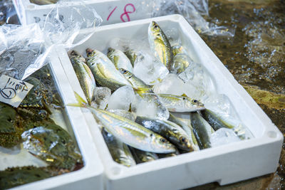 High angle view of fish for sale