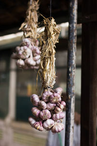Close-up of garlic cloves against blurred background