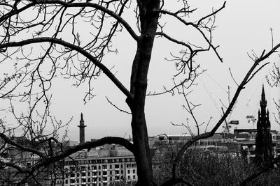 Bare trees in city against sky