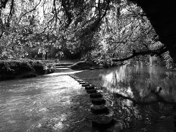 Reflection of trees on river