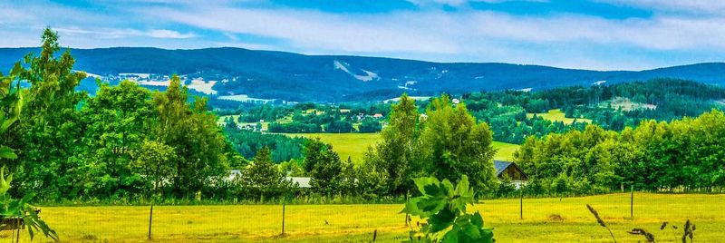 Scenic view of field against sky