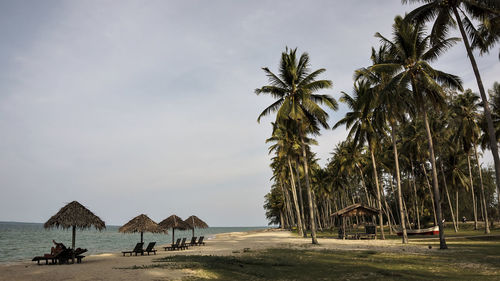 Palm trees on beach against sky