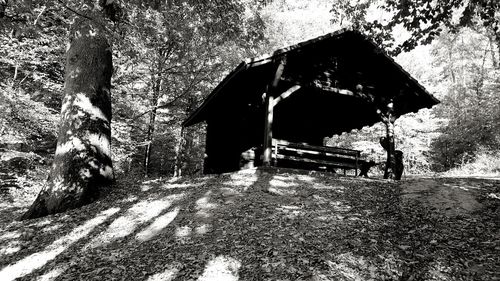 Old abandoned house in forest