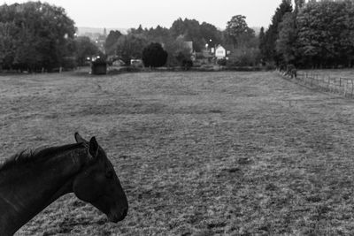 Scenic view of farm against sky
