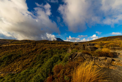 Scenic view of landscape against sky