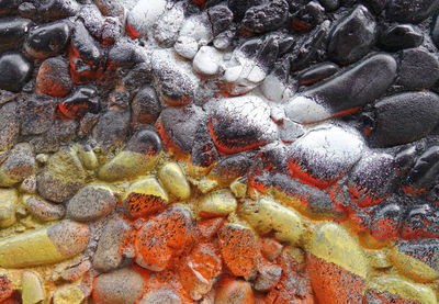 Full frame shot of koi fish in sea