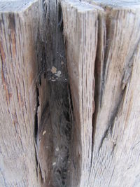 Close-up of wood