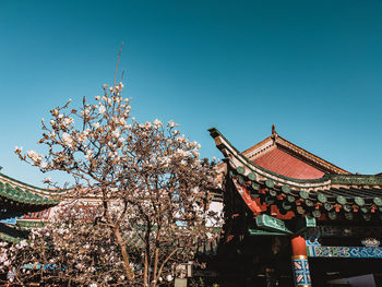 Low angle view of cherry blossoms against sky