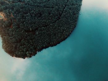 High angle view of ice cream on table