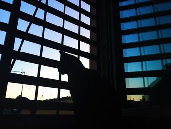 Low angle view of silhouette person against sky seen through window