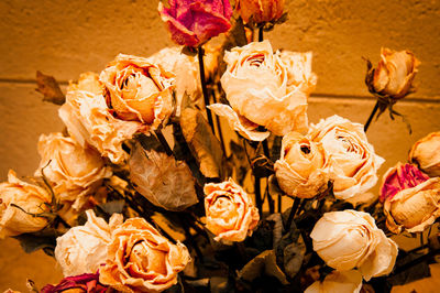 Close-up of roses on plant