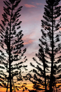 Low angle view of silhouette trees against sky during sunset