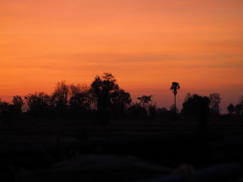 Silhouette trees on field against orange sky