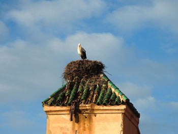 Low angle view of bird perching on roof against sky