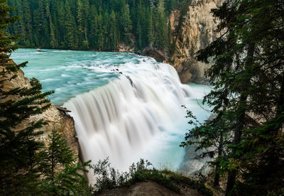 Scenic view of waterfall in forest