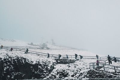 Snow covered landscape