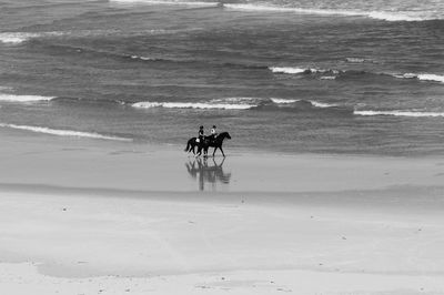 Side view of horse riding on beach