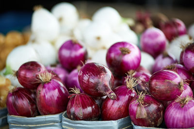 White and red onions