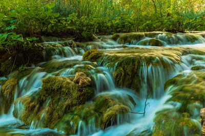 Scenic view of waterfall in forest