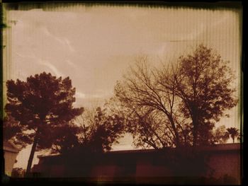 Low angle view of bare trees against sky at sunset