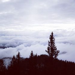 Scenic view of landscape against cloudy sky