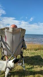 Man sitting on chair by dog against sea