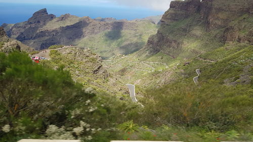 Plants growing on land against mountains