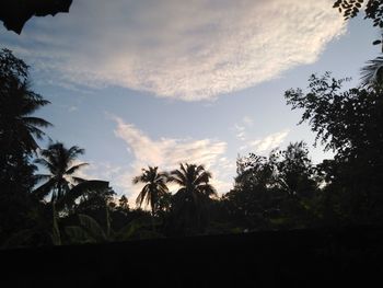 Low angle view of silhouette trees against sky during sunset