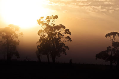 Silhouette trees on landscape against sky during sunset