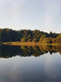 Scenic view of lake in forest against sky