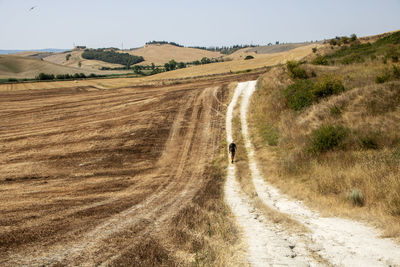 Dirt road amidst field against sky