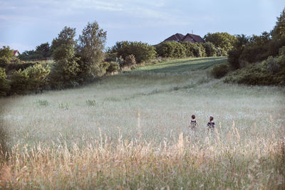 Rear view of siblings standing amidst plants on field