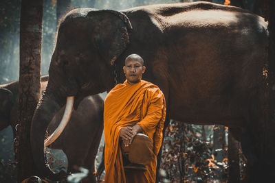 Monk standing by elephant at forest