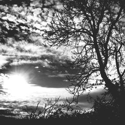 Silhouette of trees against cloudy sky