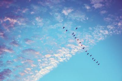 Low angle view of silhouette birds in blue sky