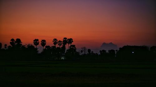 Silhouette trees on field against orange sky