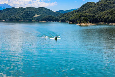 View of birds in lake