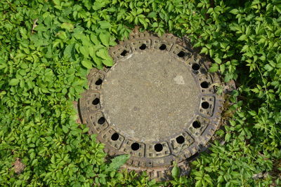 High angle view of sewage amidst plants during sunny day