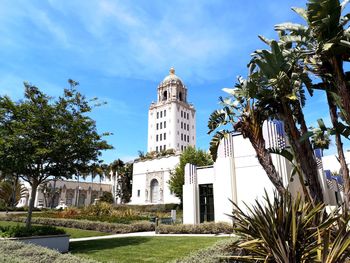 Low angle view of palm trees and buildings against sky